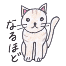 Chatra-chan the cat sticker #3873954