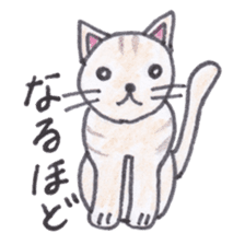 Chatra-chan the cat sticker #3873954