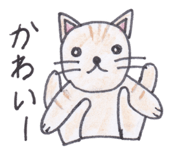Chatra-chan the cat sticker #3873956