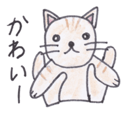 Chatra-chan the cat sticker #3873956