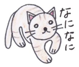 Chatra-chan the cat sticker #3873960