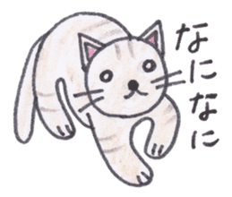 Chatra-chan the cat sticker #3873960