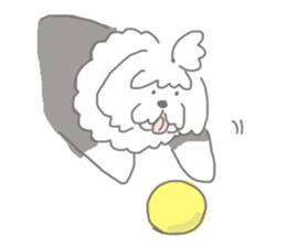 Harry dog sticker #3879068