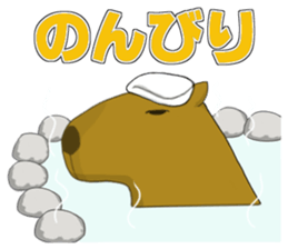 funny & joke animals sticker #3880171