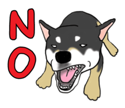 Shiba Inu Expressions sticker #3881048