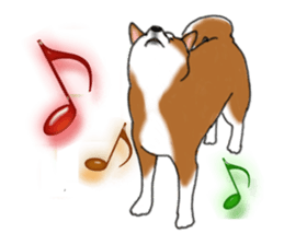 Shiba Inu Expressions sticker #3881049