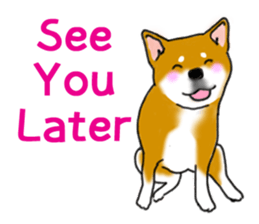 Shiba Inu Expressions sticker #3881050