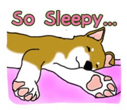 Shiba Inu Expressions sticker #3881054