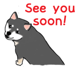 Shiba Inu Expressions sticker #3881055