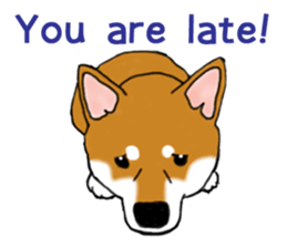 Shiba Inu Expressions sticker #3881056