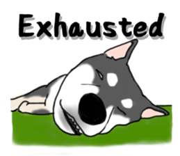 Shiba Inu Expressions sticker #3881058