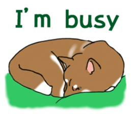 Shiba Inu Expressions sticker #3881060