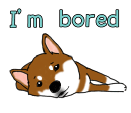 Shiba Inu Expressions sticker #3881061