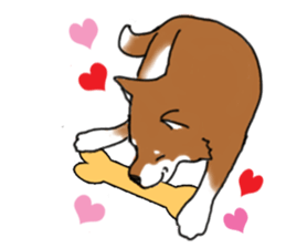 Shiba Inu Expressions sticker #3881062