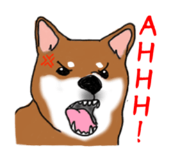 Shiba Inu Expressions sticker #3881064