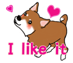 Shiba Inu Expressions sticker #3881067