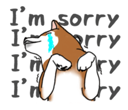 Shiba Inu Expressions sticker #3881068