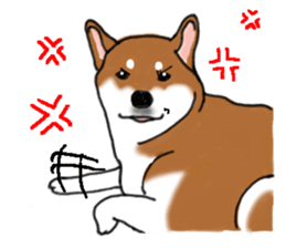Shiba Inu Expressions sticker #3881071