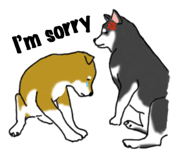 Shiba Inu Expressions sticker #3881072