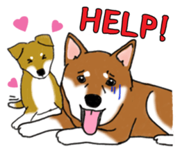 Shiba Inu Expressions sticker #3881074