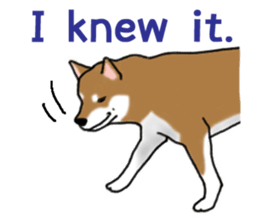 Shiba Inu Expressions sticker #3881075