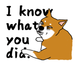 Shiba Inu Expressions sticker #3881077