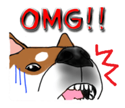 Shiba Inu Expressions sticker #3881079