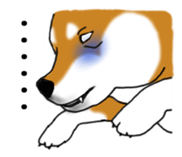 Shiba Inu Expressions sticker #3881080