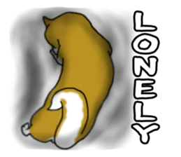 Shiba Inu Expressions sticker #3881082