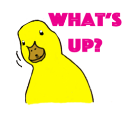 Shiba Inu Expressions sticker #3881086