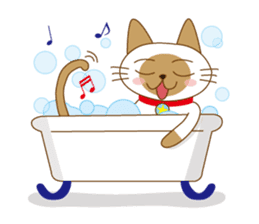 "siamta" of siamese cat (English ver.) sticker #3882955