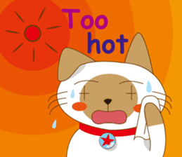 "siamta" of siamese cat (English ver.) sticker #3882960