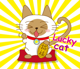 "siamta" of siamese cat (English ver.) sticker #3882963