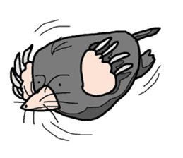 Underground animal is busy sticker #3883357