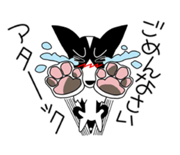 Love Love Border Collies! 3 sticker #3883844