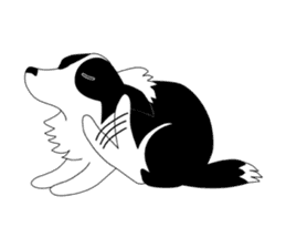 Love Love Border Collies! 3 sticker #3883857