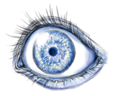 Eyes Eyes Eyes sticker #3887767