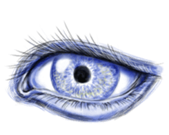 Eyes Eyes Eyes sticker #3887768