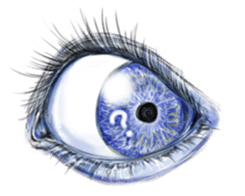 Eyes Eyes Eyes sticker #3887777