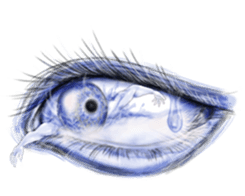 Eyes Eyes Eyes sticker #3887784