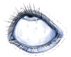 Eyes Eyes Eyes sticker #3887785