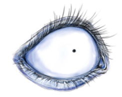 Eyes Eyes Eyes sticker #3887793