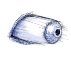 Eyes Eyes Eyes sticker #3887794