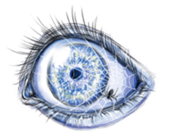 Eyes Eyes Eyes sticker #3887795