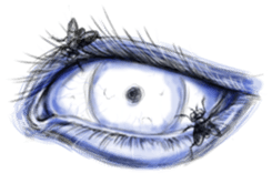 Eyes Eyes Eyes sticker #3887796