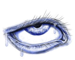 Eyes Eyes Eyes sticker #3887799