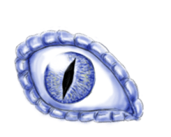 Eyes Eyes Eyes sticker #3887802