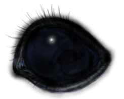 Eyes Eyes Eyes sticker #3887804