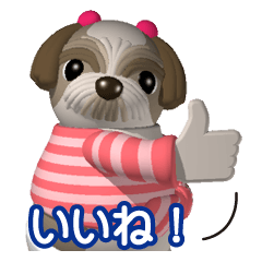 Funny Shih-Tzu