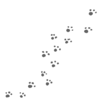 cat in here sticker #3891886